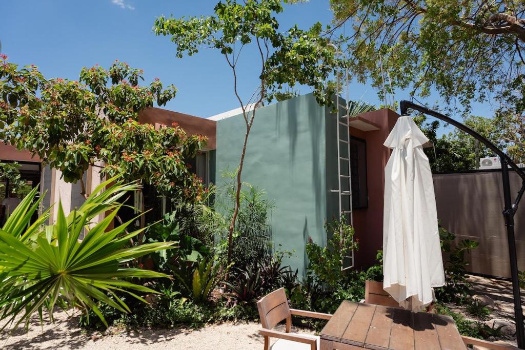 Casa Luum Architectural Retreat Among Gardens - 4