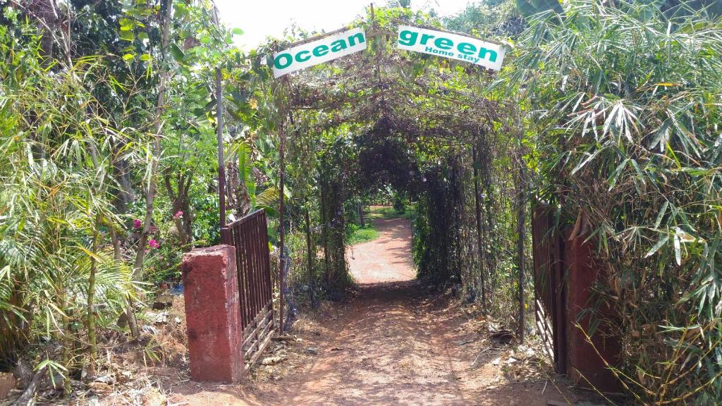 Ocean Green Kerala photo