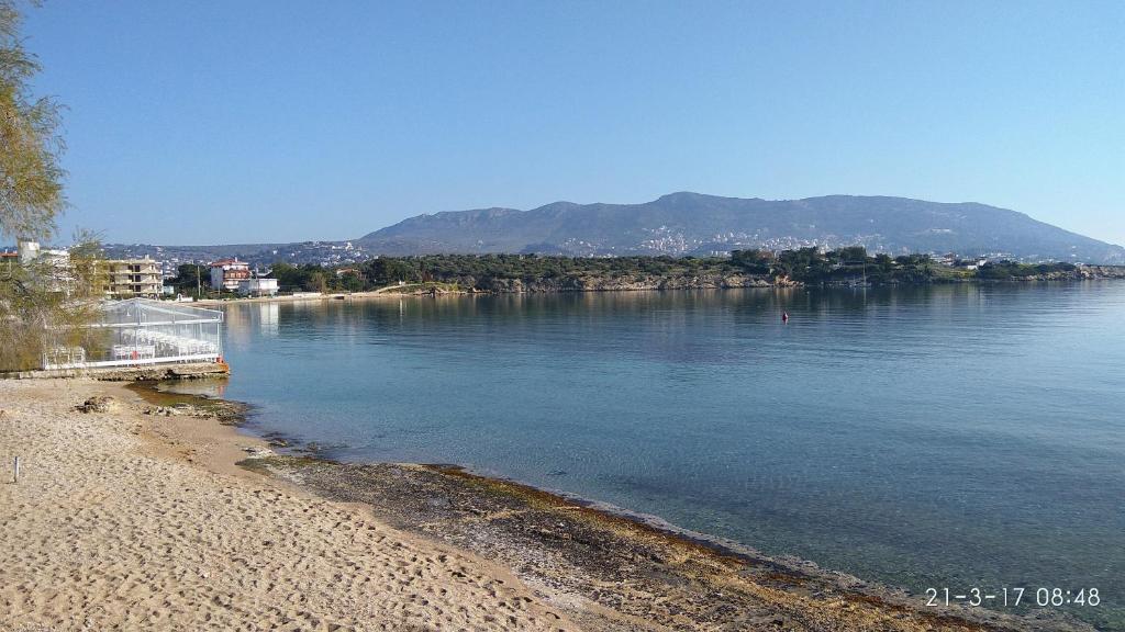 G-George Apartments by the Sea and Airport photo