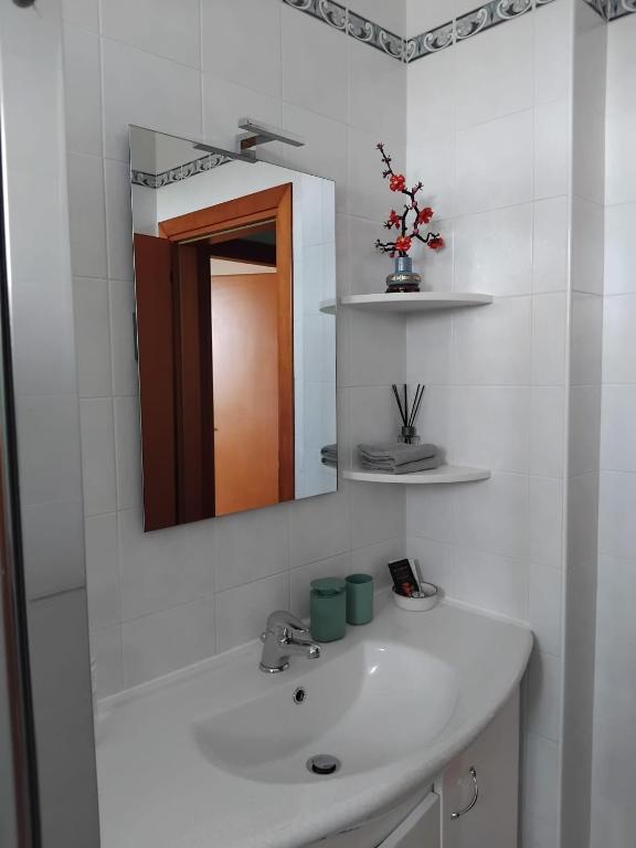 Private room and bathroom in shared apartment pets in common area - 4