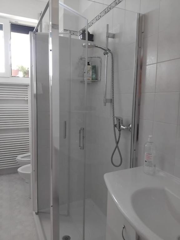 Private room and bathroom in shared apartment pets in common area - 5