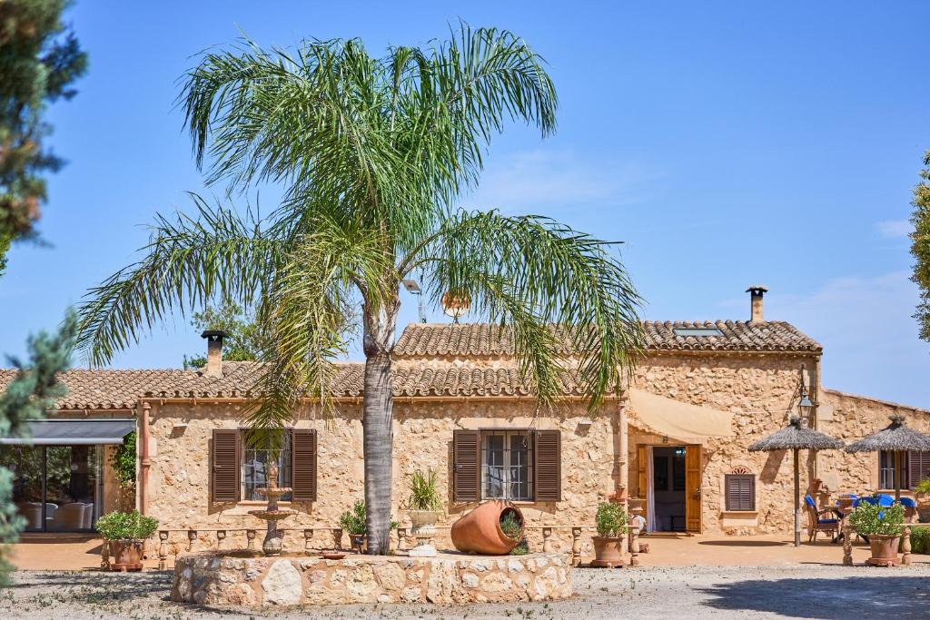 Finca Banc DOli - 3