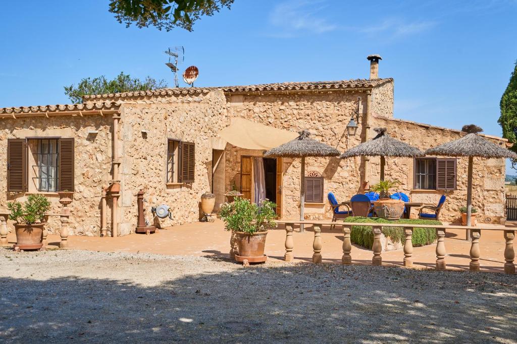 Finca Banc DOli - 4