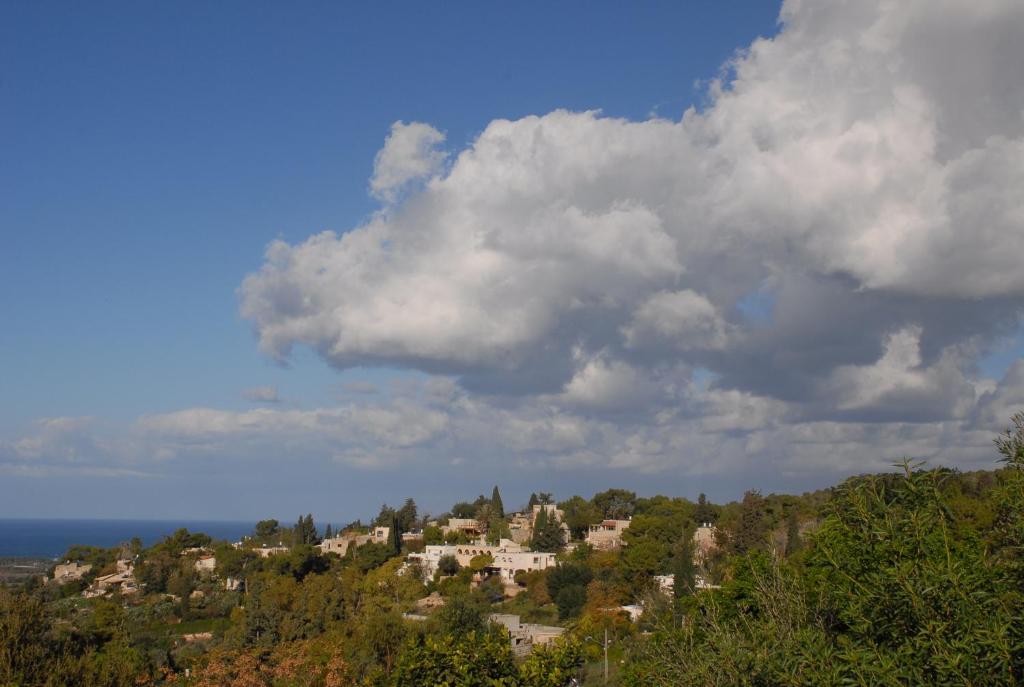 View
