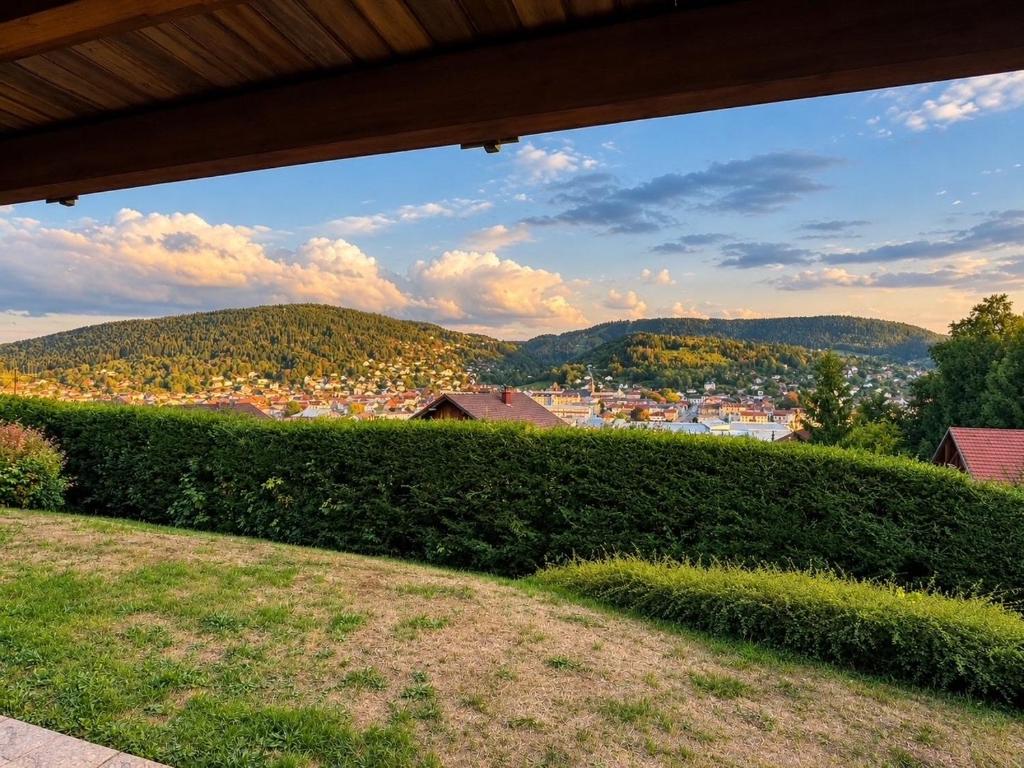 L'écrin des Vosges - 2