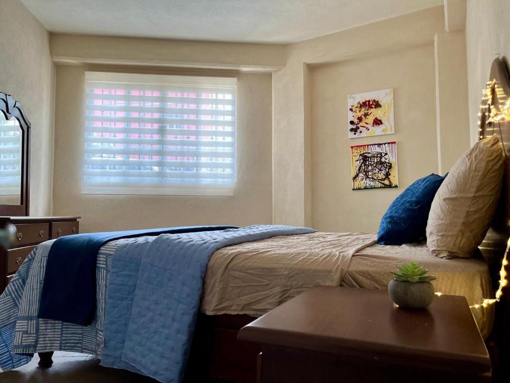 Planta Baja,p4,Pet friendly,10 minutos del centro - 3