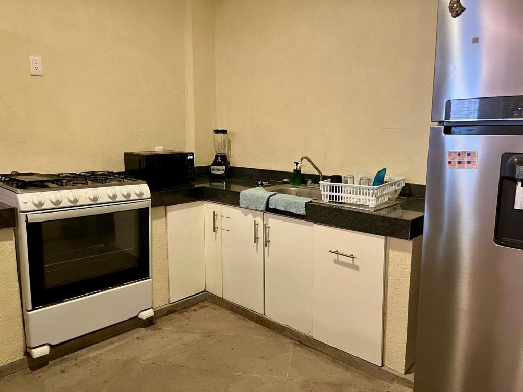 Planta Baja,p4,Pet friendly,10 minutos del centro - 4