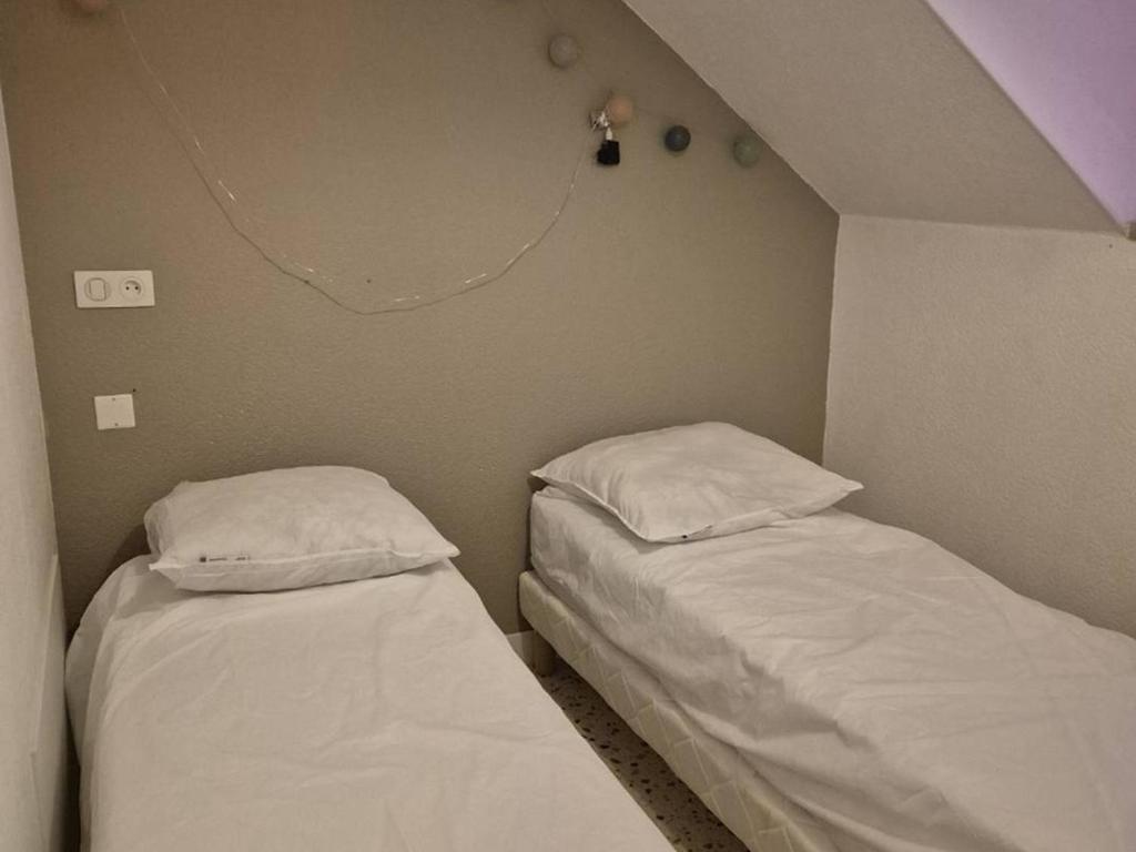 Appartement T2 en hyper-centre - 5