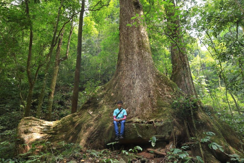 スポーツ/アクティビティ