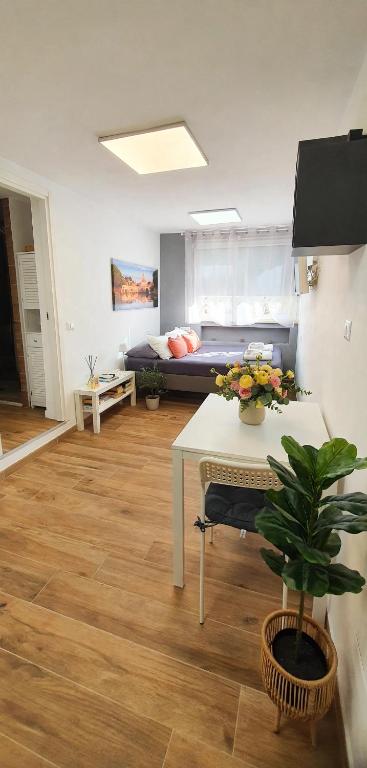Monteverde Rhome - 4