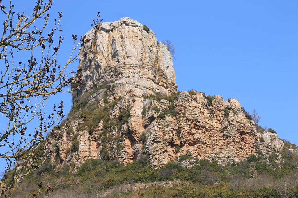 スポーツ/アクティビティ