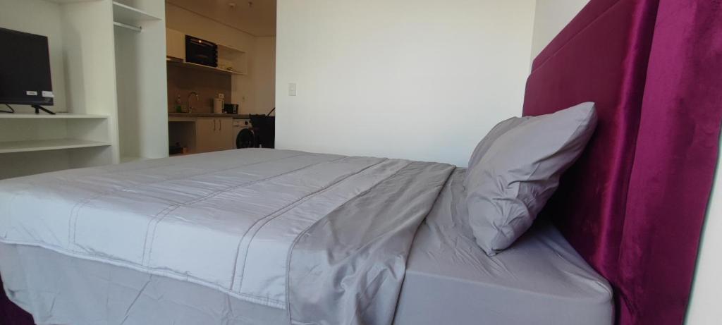 Estudio Nuevo en Sajonia - Asunción - 3