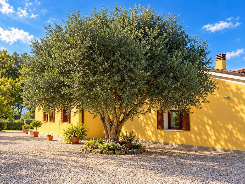 La Corte degli Ulivi - Casa di campagna con parco - 1