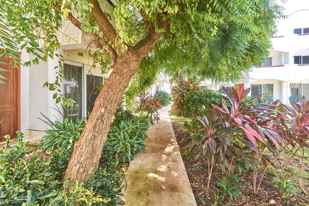 Quiet 3Br Townhouse In Gated Playacar - 5