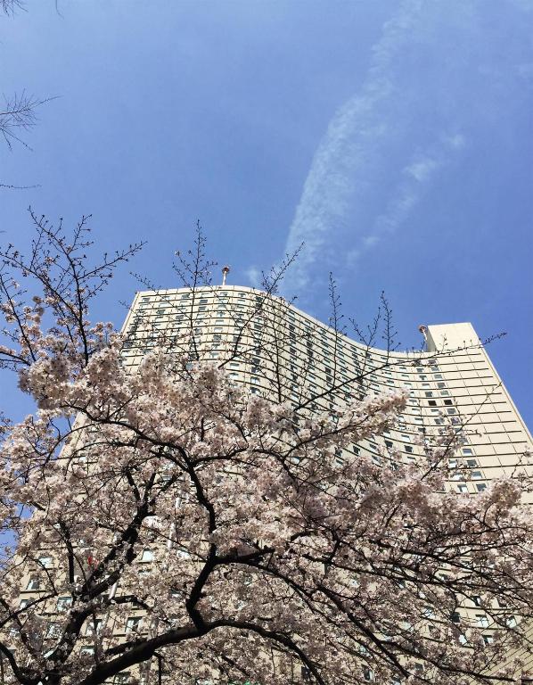 外觀