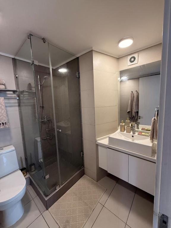 Departamento frente a Sheraton y Clinica INDISA - 3