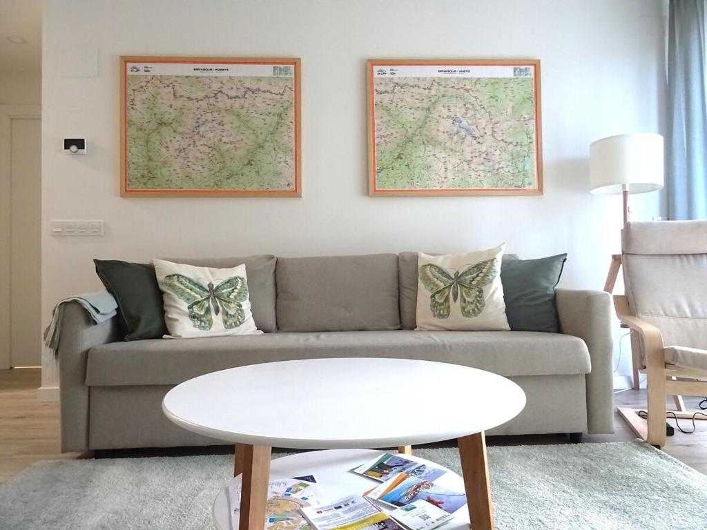 Apartamento Milla de Oro Benasque - 4