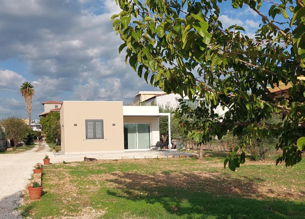 Galene Avola - 2