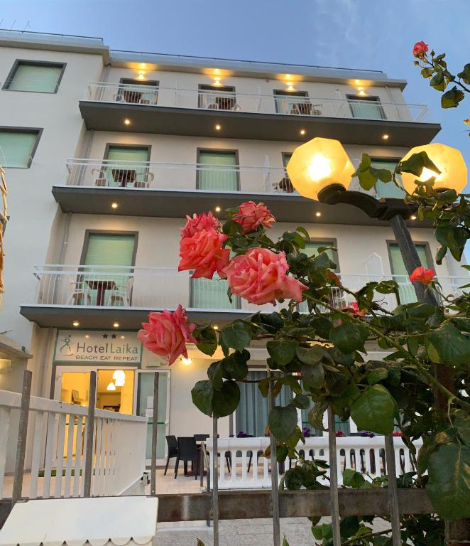 Hotel Laika - 1