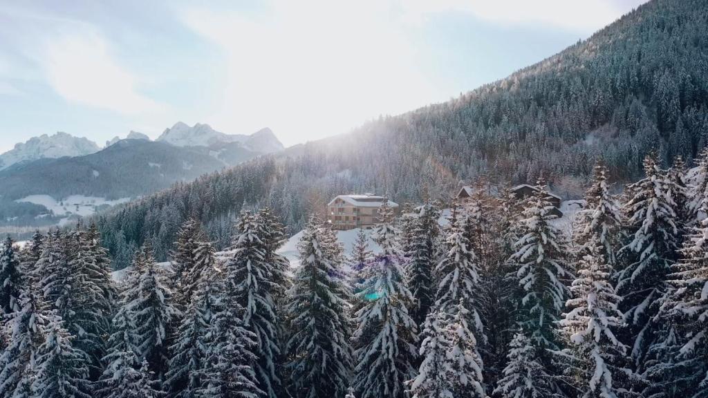 Gailerhof Boutique Hotel B&B Dolomites - 2