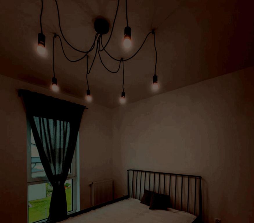 Nebura winter dream - 5