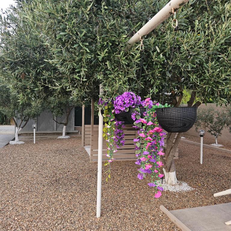 Casa Giulia - 4
