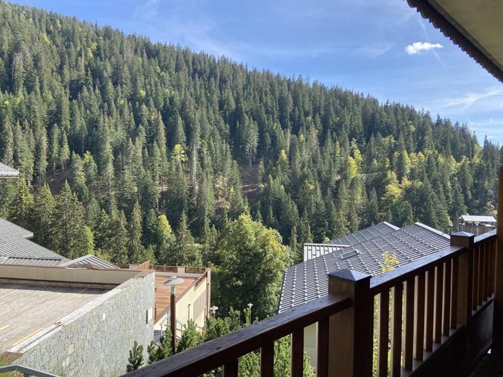 Appartement T3 avec WIFI - 4/5 pers., balcon sud - 1