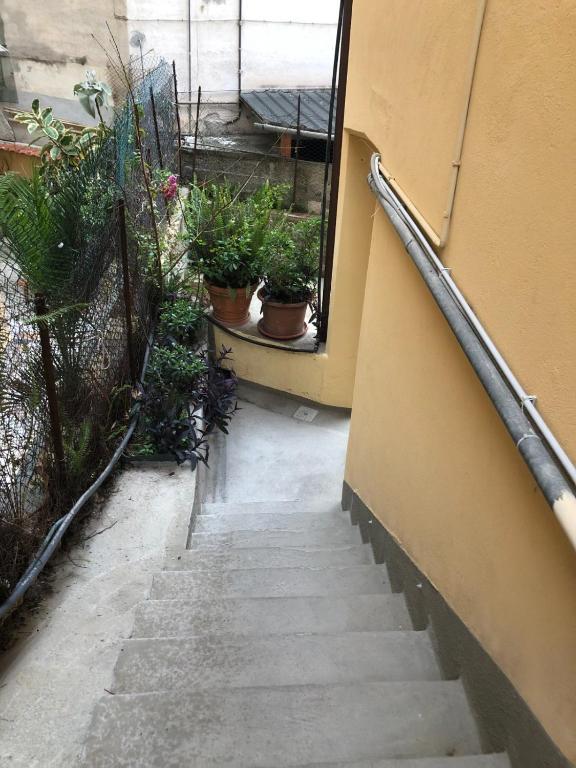 Il Gattino di Sanremo 2 - 4