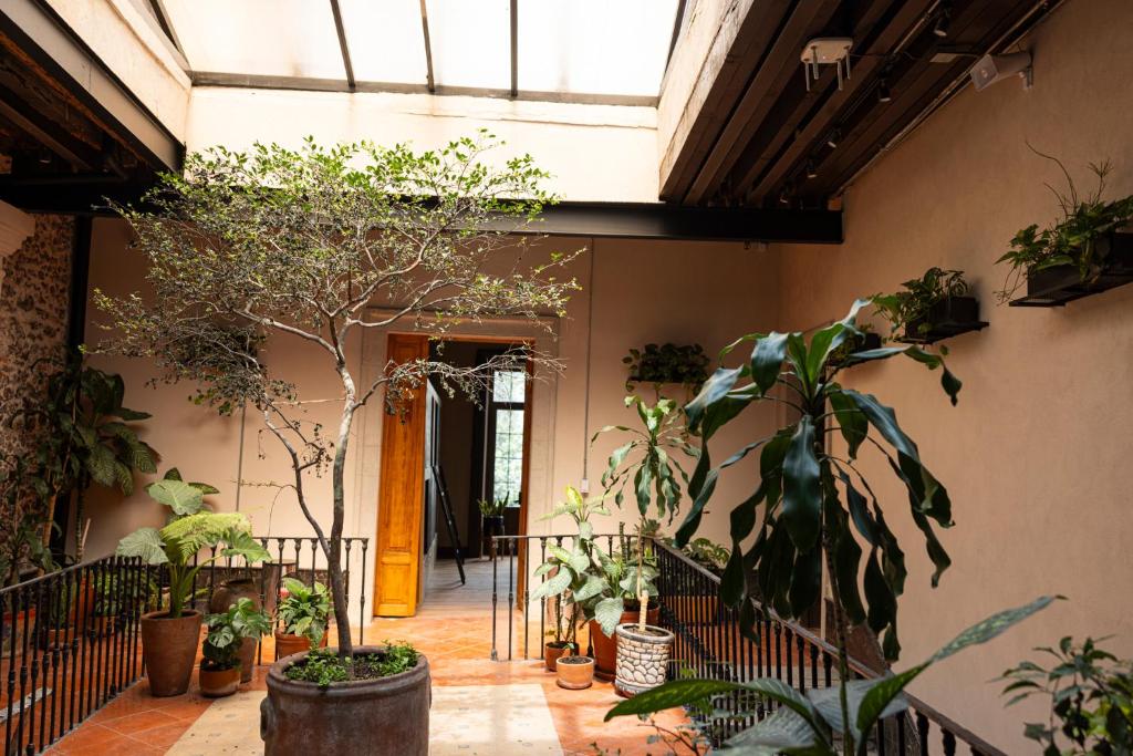 Casa Bolivar - 2