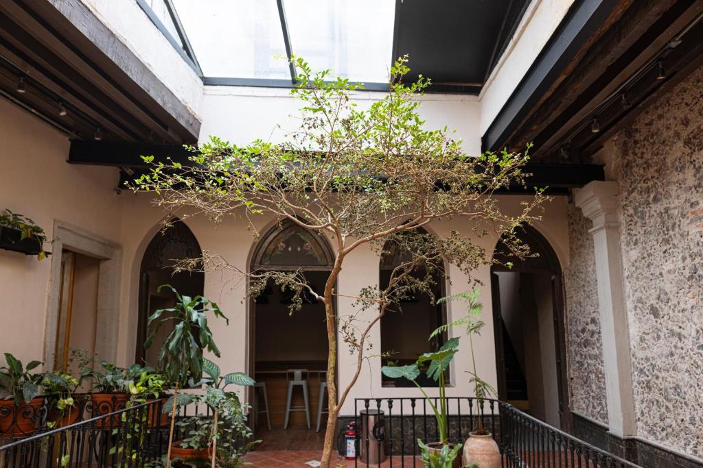 Casa Bolivar - 1