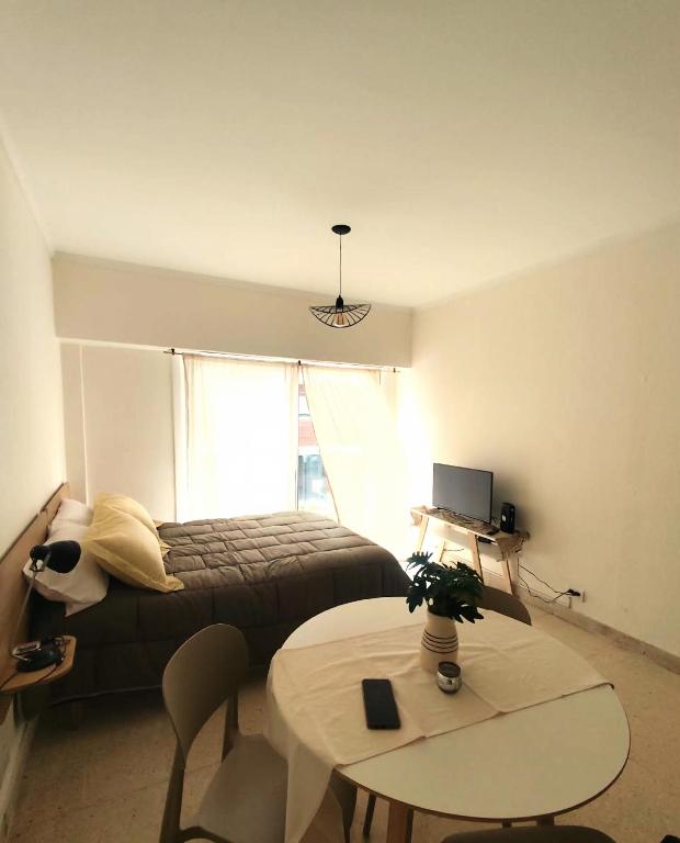 Olivo Estudio - 2