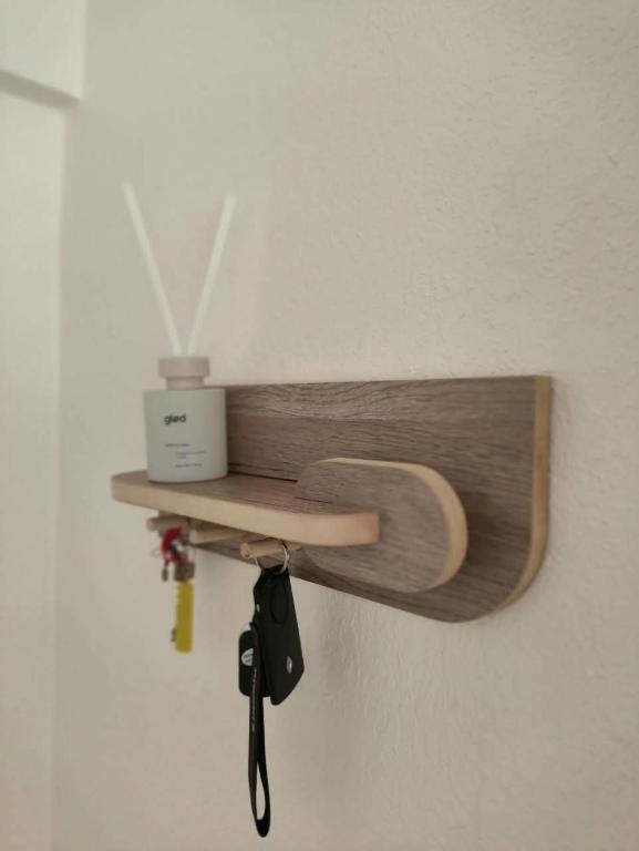 Olivo Estudio - 5