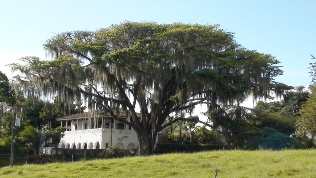 Finca histórica y colonial - 3