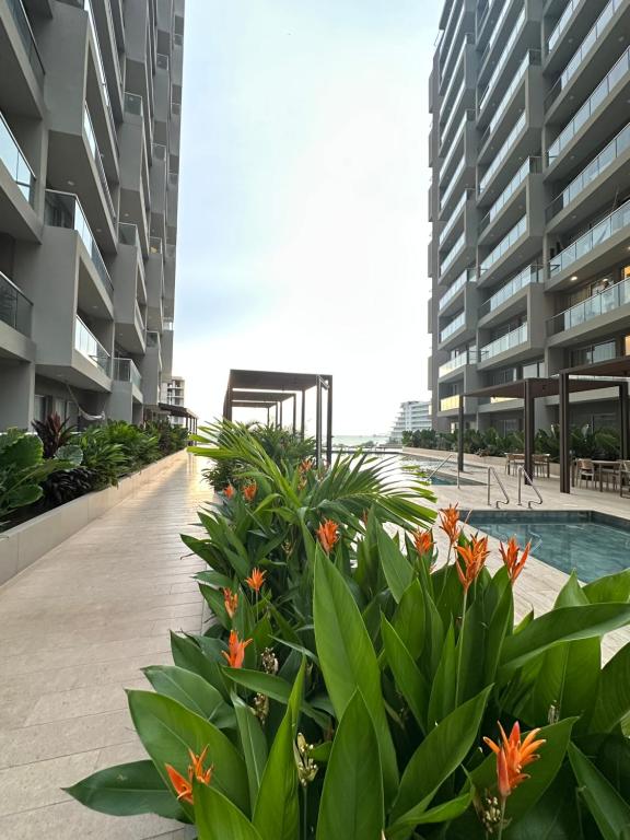Hotel Apartamento en Santa Marta Bello Horizonte 1111 - 4