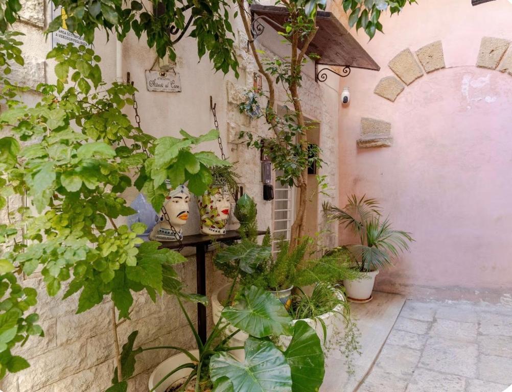 B&B Bari Vecchia R - 3