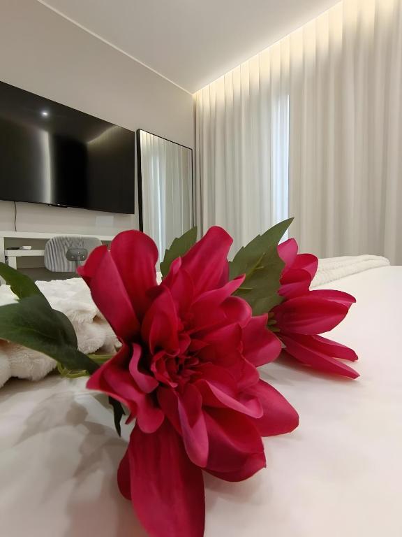 Essential Suite Catania - Luxury - 1