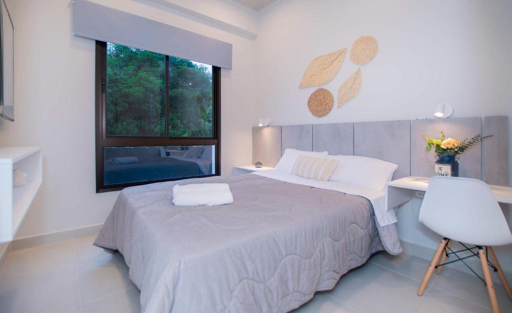 Cozy One-Bedroom Apartment with Sofa Pool&CoWork - 3
