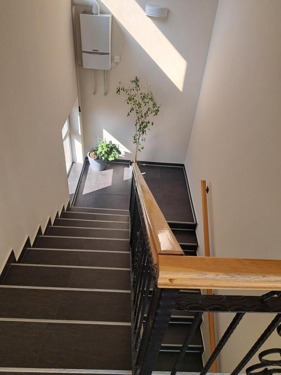 Apartmani Rada - 5