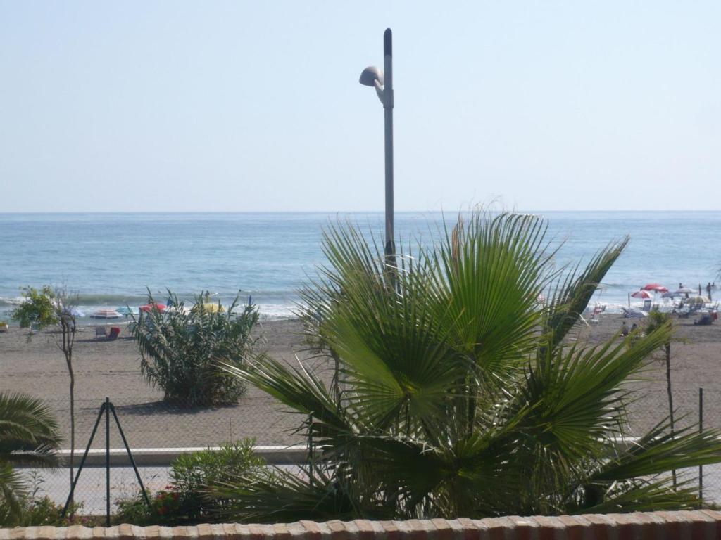 adbdbbcfbbbdeefae - Apartment für 7 Personen ca- 60qm Torrox Costa - 2