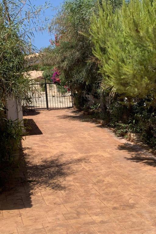 caffefadbdfcfee - Holiday Home CASA BENIMEIT - 5