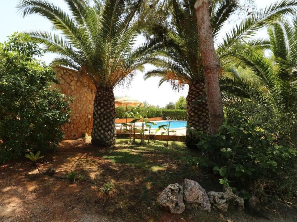 ccca - Holiday Home Fi- Camaron-Crestall - 3