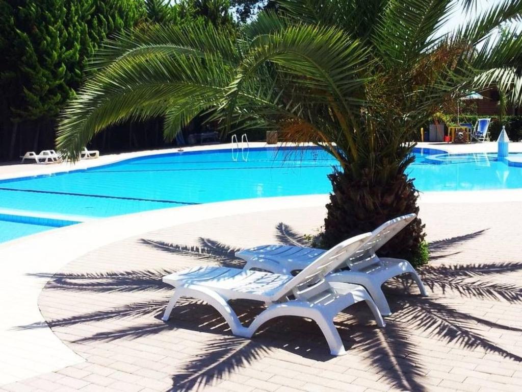 ebfbdbee - Apartment Mobilheim am Meer in der Toskana in der Nähe von Pisa- Lucca - 2