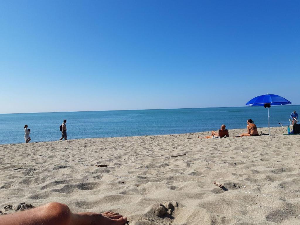 ebfbdbee - Apartment Mobilheim am Meer in der Toskana in der Nähe von Pisa- Lucca - 4