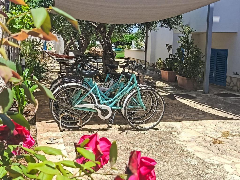 aeaefaaf - Apartment Studio 2 pax Signorino Resort - 2