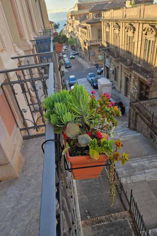 ffefdbcdcfccd - Apartment Tapis Dimora Tipica - 2