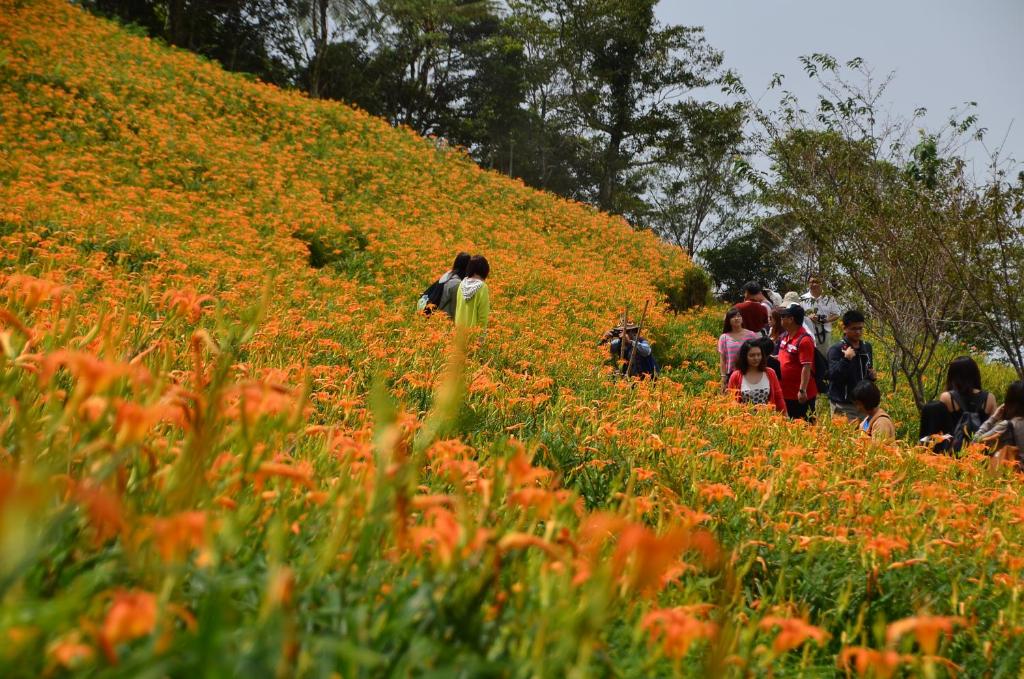 Qingshan Homestay 호텔 이미지 1