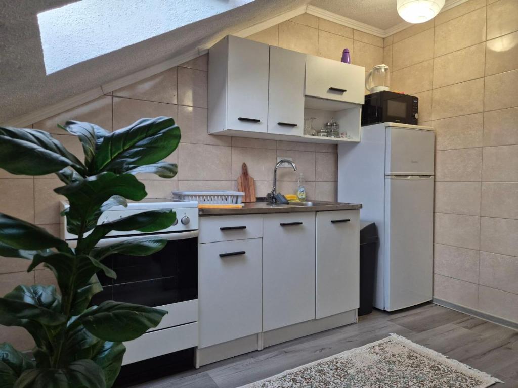 NG Apartments - free parking - 5