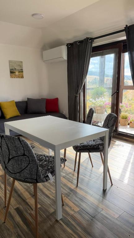 Zlatiborski apartman sa pogledom - 1