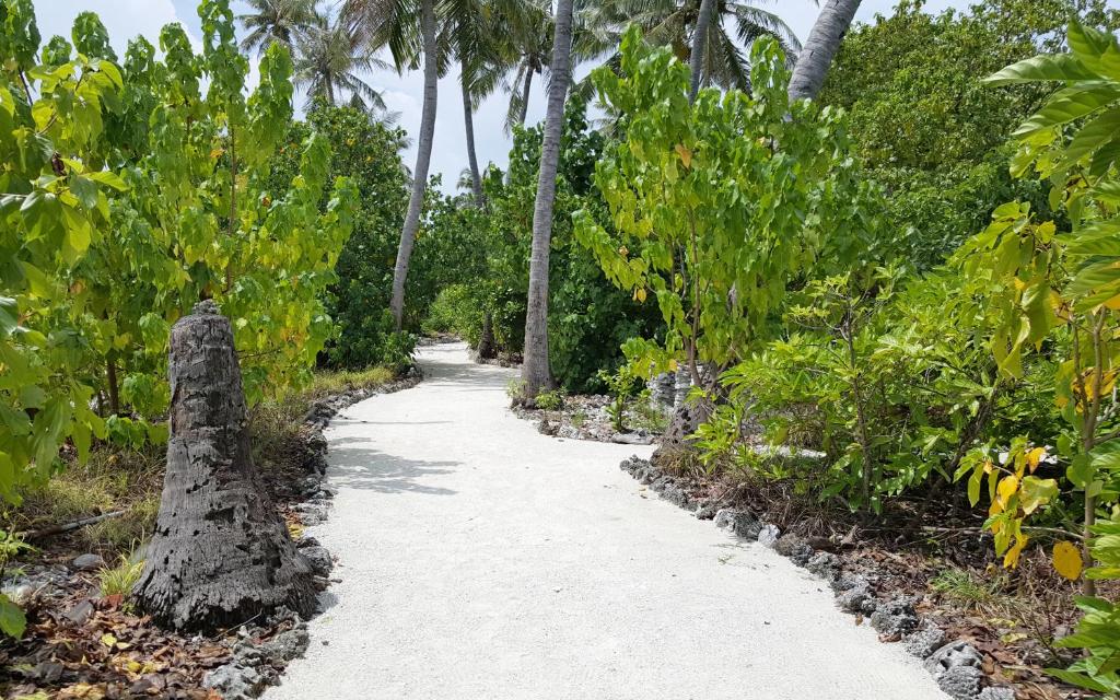 Surrounding environment