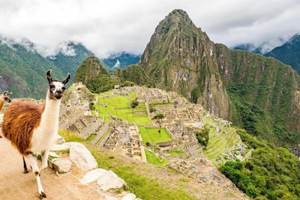 Machu Picchu ticket oficial Elige el circuito 1 y 2 o 3 - 3